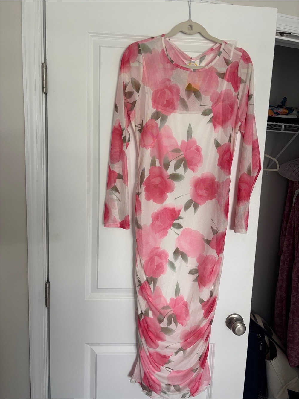 Sheer Pink Floral Long-Sleeve Maxi Dress
